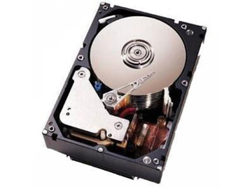 Жесткий диск IBM 500GB 1.5G 7.2K 3.5" SATA, 42D0389 42D0389 - фото 4769