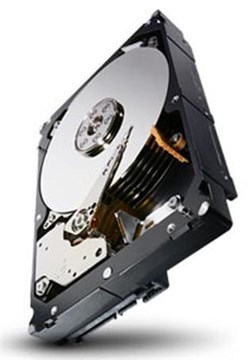 Жесткий диск Seagate 500GB SATA 3,5", ST500NM0011 ST500NM0011 - фото 4873