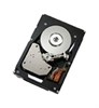 Жесткий диск IBM 2TB 7.2K NL SATA 3.5 HS HDD, 42D0782 42D0782 - фото 5063