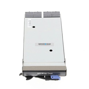 59Y6244 IBM x3850 X5 and x3950 X5 QPI Wrap Card 59Y6244 - фото 148976