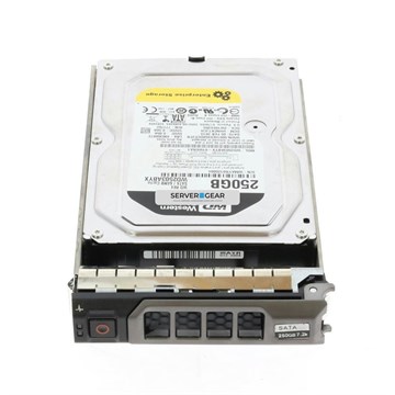 WD2503ABYX-01WERA1 Жесткий диск 250GB 7.2K 3.5 SATA 3G WD2503ABYX-01WERA1 WD2503ABYX-01WERA1 - фото 96513