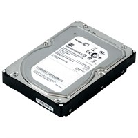 Жесткий диск Seagate 2TB ST32000645NS ST32000645NS