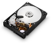 Жесткий диск Hitachi Ultrastar 1Tb 3.5" 7200rpm 32Mb cache A7K2000 SATAII HUA722010CLA330