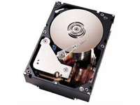 Жесткий диск IBM 500GB 1.5G 7.2K 3.5" SATA, 42D0389 42D0389