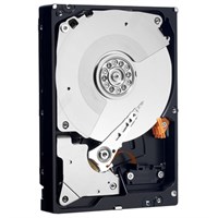 Жесткий диск Western Digital 1Tb 7200 rpm SATAII 3.5" 32 Mb, WD1002FBYS WD1002FBYS