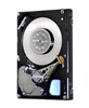 Жесткий диск 147Gb SAS HGST, HUC151414CSS600 HUC151414CSS600 - фото 5066