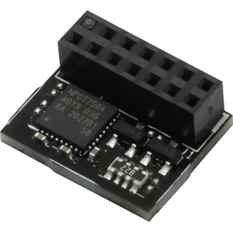 Модуль Asus TPM-SPI OEM (90MC07D0-M0XBN1) в Санкт-Петербурге