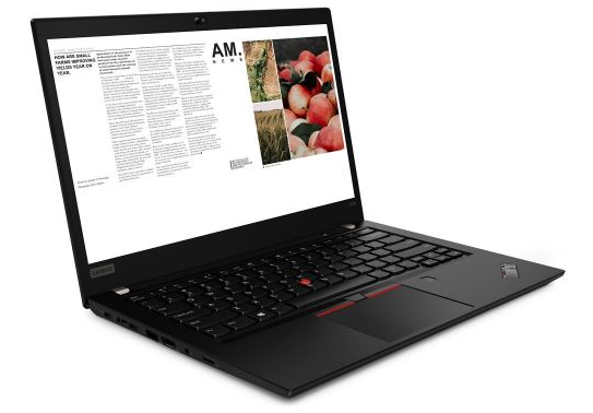 Ноутбук Lenovo ThinkPad T495 14"