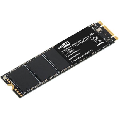SSD диск PC PET 1Tb PCPS001T1