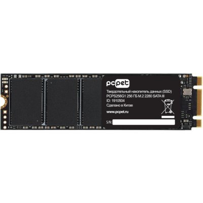 SSD диск PC PET 256Gb PCPS256G1