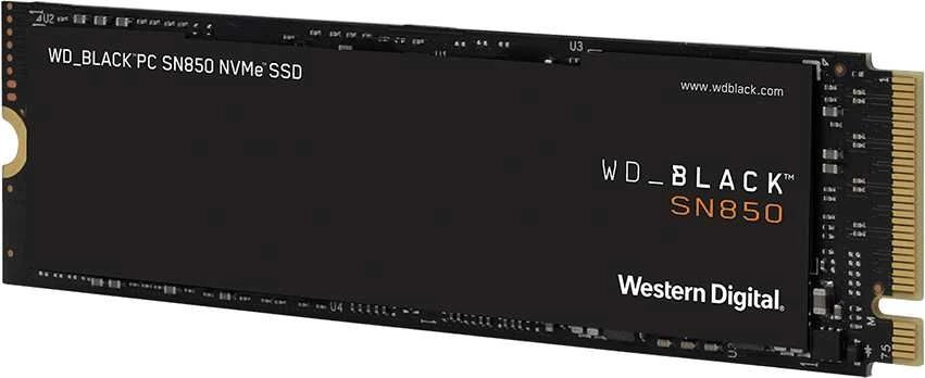 Жёсткий диск Western Digital WDS100T1X0E