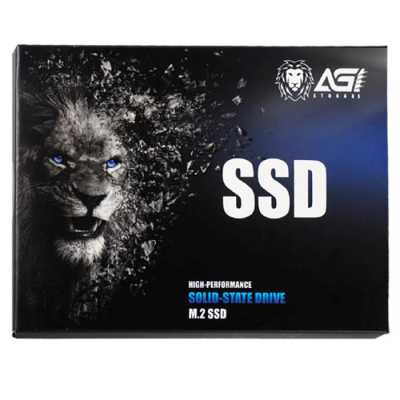 SSD диск AGI AI198 256Gb AGI256G16AI198