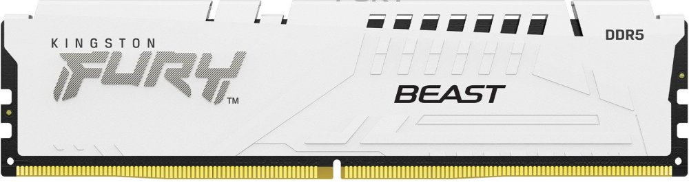 Память DDR5 32GB 5600MHz Kingston KF556C36BWE-32 Fury Beast Expo RGB RTL PC5-44800 CL36 DIMM 288-pin 1.25В kit single rank Ret