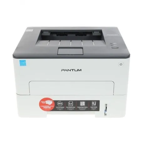 Принтер лазерный Pantum P3010D в Санкт-Петербурге