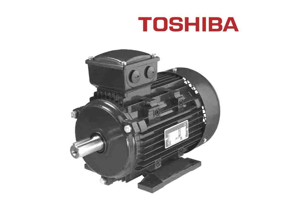 Электродвигатели Toshiba EQP Global® XP IP56 до 740 кВт