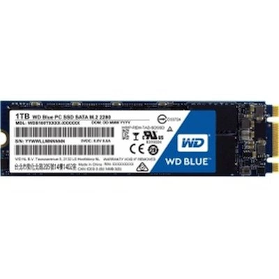 Жёсткий диск Western Digital WDS100T1B0E