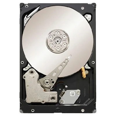 Жёсткий диск Seagate ST1000NM0001