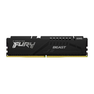 Оперативная память Kingston Fury Beast KF552C40BB-16