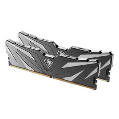 Оперативная память Netac Shadow II NTSWD5P56DP-32K