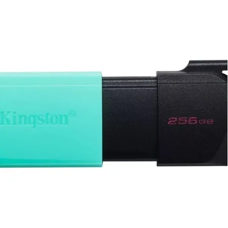Флешка Kingston DataTraveler Exodia M 256Gb DTXM/256GB USB3.0 черный/зеленый в Санкт-Петербурге