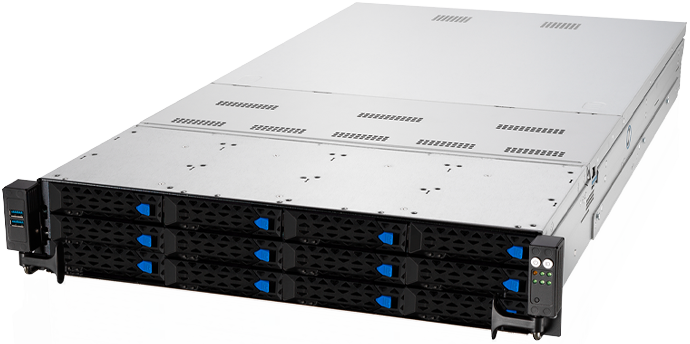 Сервер Nerpa Nord D5025