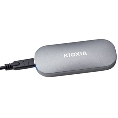 SSD диск Kioxia Exceria Plus 1Tb LXD10S001TG8