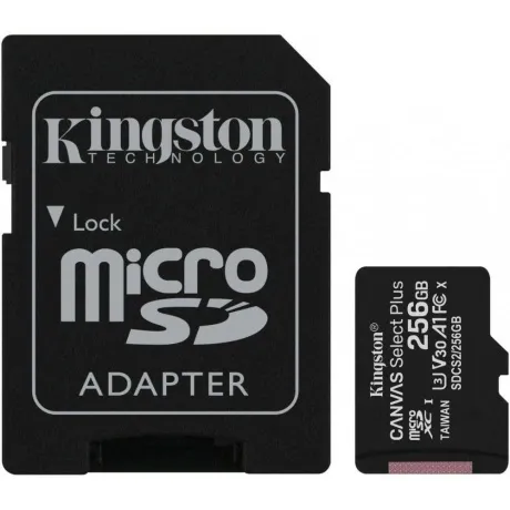 Карта памяти Kingston Canvas Select Plus microSDHC 256Gb (SDCS2/256GB) в Санкт-Петербурге