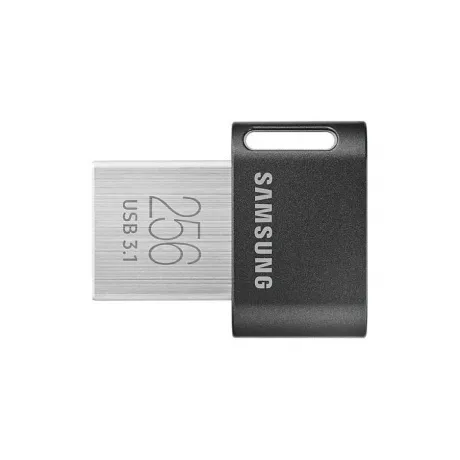 Флешка Samsung MUF-256AB/APC 256Gb (MUF-256AB/APC), USB3.1 в Санкт-Петербурге