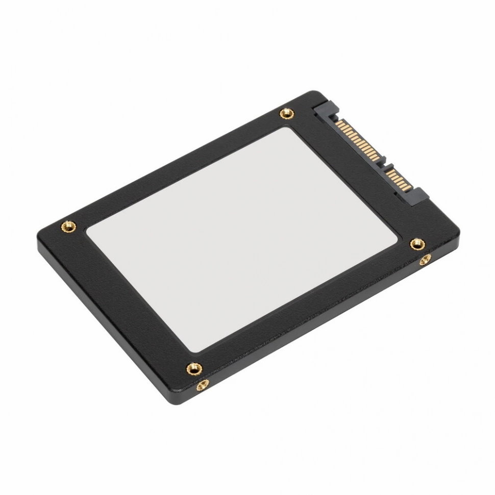 SSD накопитель Phison ESM1710 3.84Tb (SC-ESM1710-3840G)
