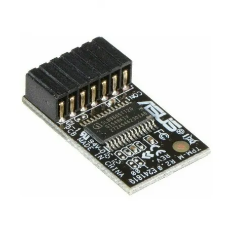 Модуль Asus TPM-M R2.0 OEM (90MC03W0-M0XBN1) в Санкт-Петербурге
