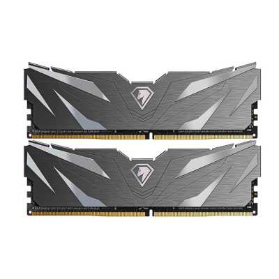 Оперативная память Netac Shadow II NTSWD5P56DP-32K