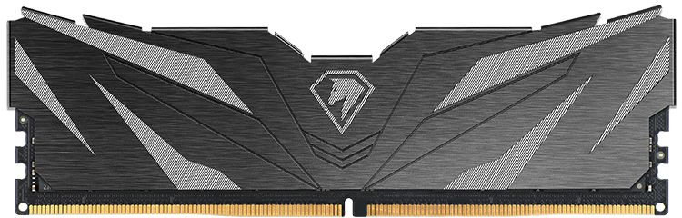 Память DDR5 16GB 5600MHz Netac NTSWD5P56SP-16K Shadow II RTL PC5-44800 CL46 UDIMM 288-pin 1.1В Intel Ret