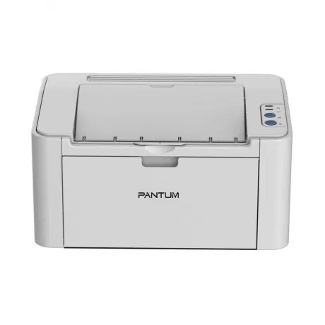 Принтер лазерный Pantum P2200 в Санкт-Петербурге
