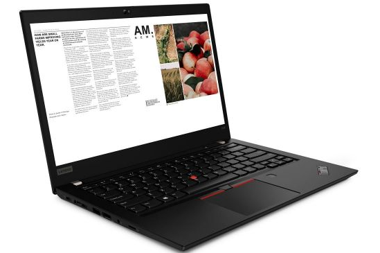 Ноутбук Lenovo ThinkPad T495s 14"