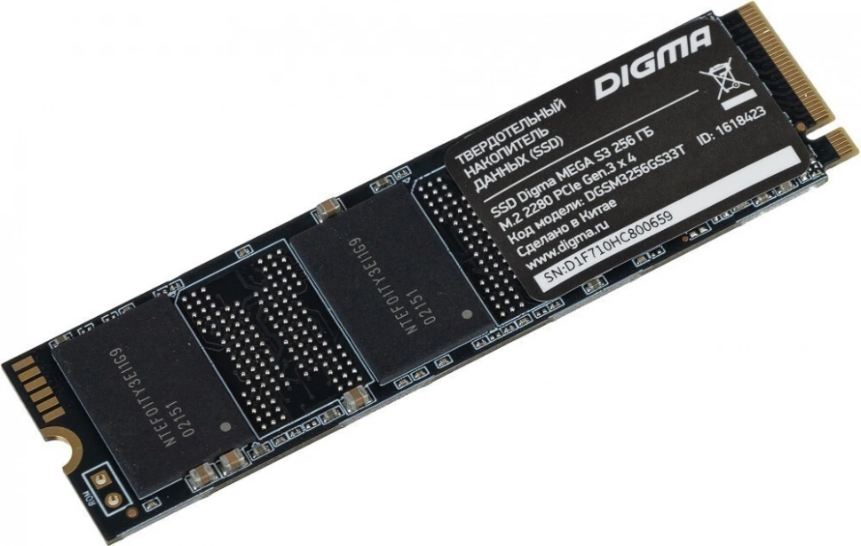 Жёсткий диск Digma DGSM3256GS33T