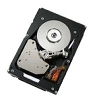 Жёсткий диск IBM 42D0707
